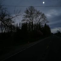 Green Oaks Mobile Ranch ico