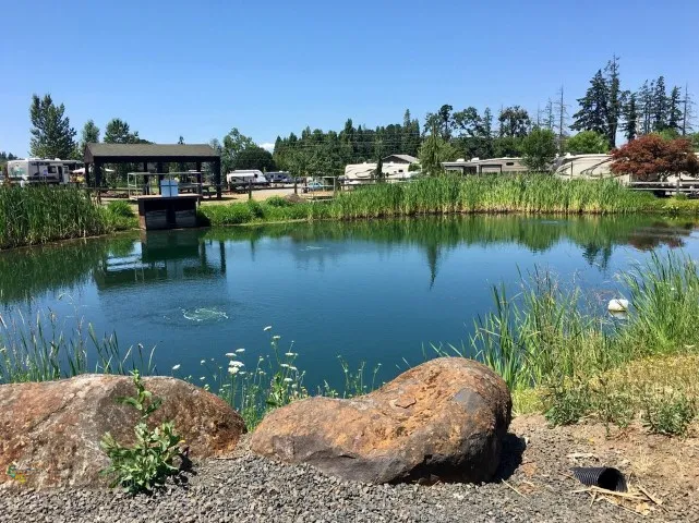 Silver Spur RV Park Picture 9