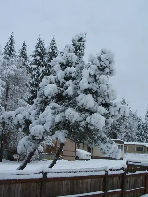 Western Hills Mobile Home Park Picture 4