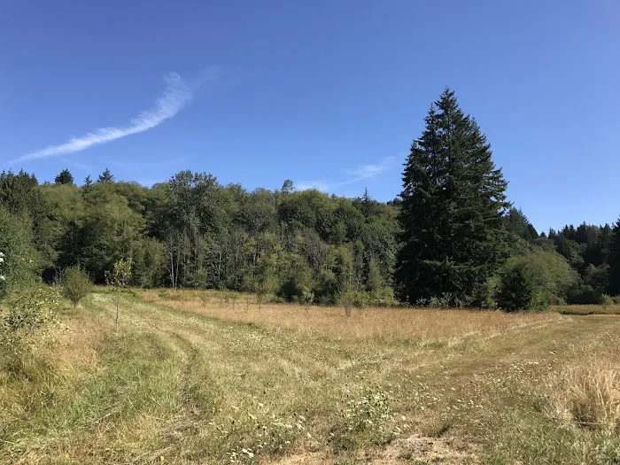 Western Hills Mobile Home Park Picture 8