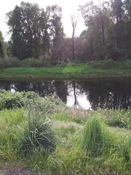 Columbia River Mobile Park Picture 4