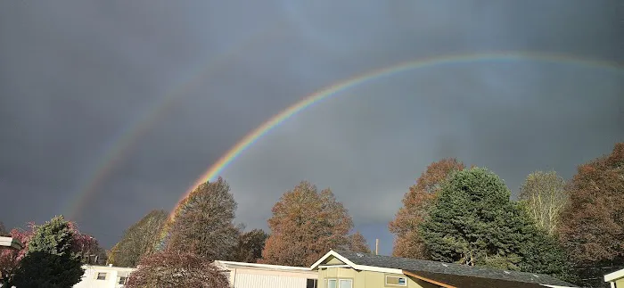 Delray Mobile Home / RV Park Picture 2