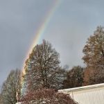 Delray Mobile Home / RV Park