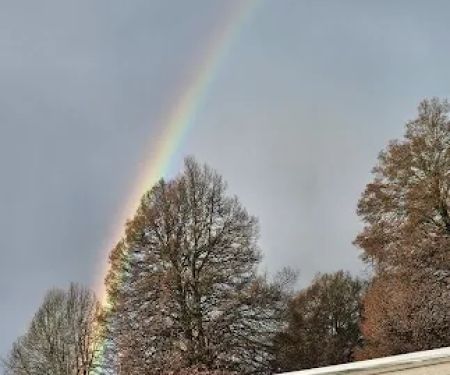 Delray Mobile Home / RV Park