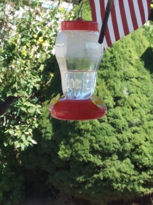 Delray Mobile Home / RV Park Picture 5