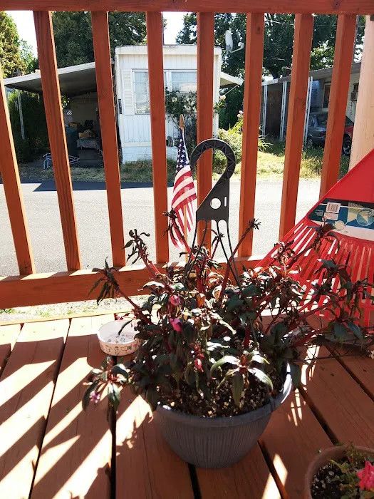 Delray Mobile Home / RV Park Picture 6