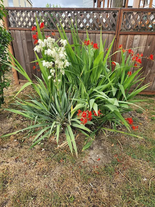 Delray Mobile Home / RV Park Picture 7