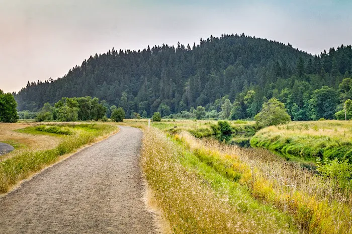 Brookhollow RV Park Picture 8