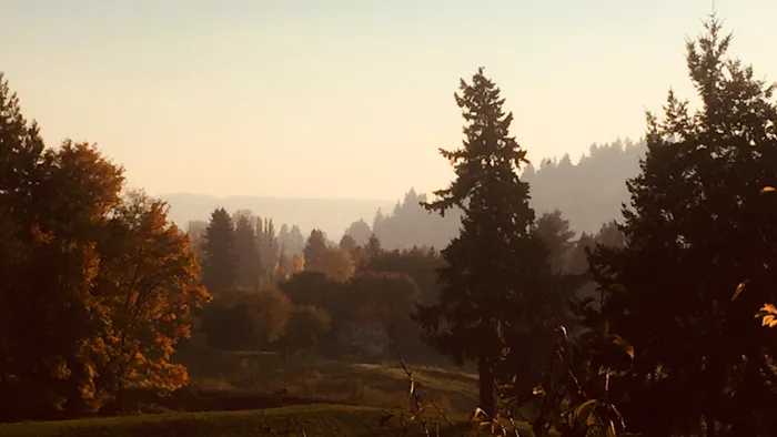 Holcomb Hills Community LLC & RV Park Picture 5