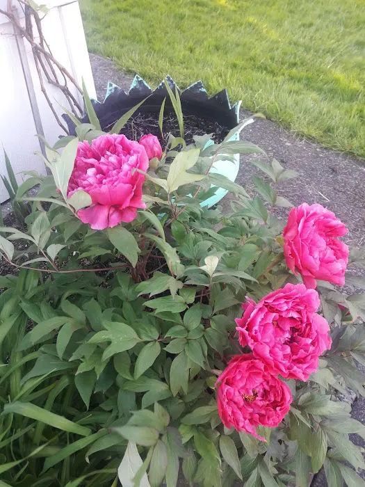 Sunny Meadows Mobile Home Park Picture 8