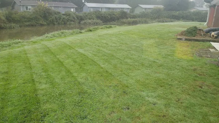 Sunny Meadows Mobile Home Park Picture 7