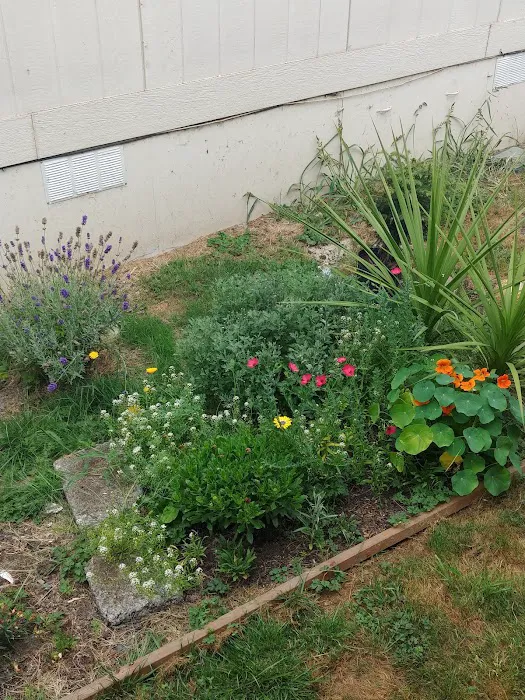 Del Ray II Picture 5