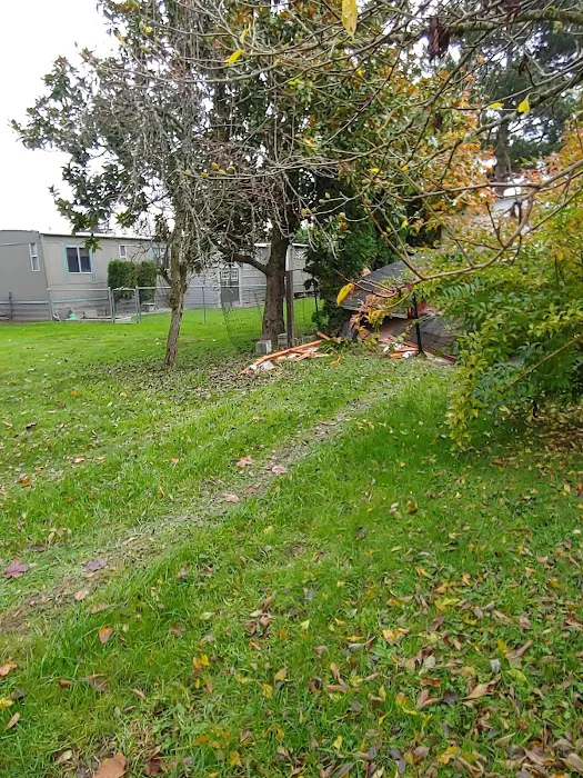 Del Ray II Picture 4