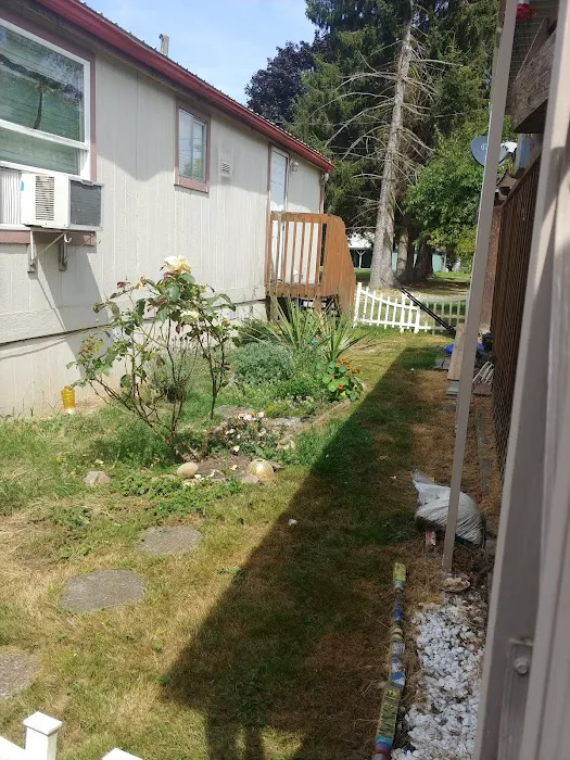 Del Ray II Picture 7