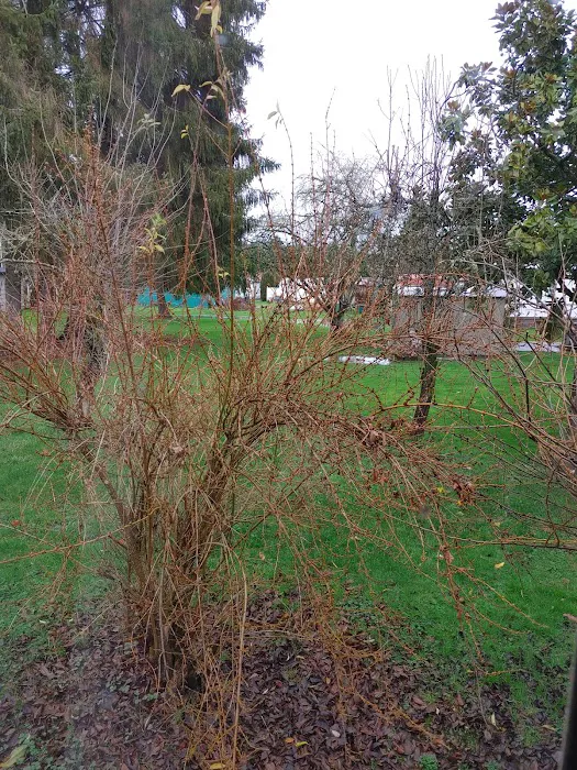 Del Ray II Picture 9