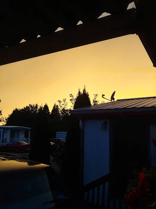 Del Ray II Picture 8