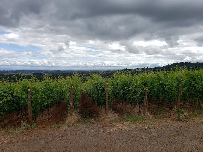 Dundee Hills Estate Picture 6