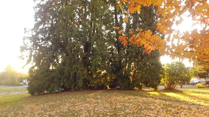 Dundee Hills Estate Picture 7