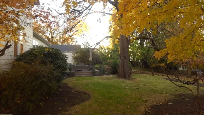 Dundee Hills Estate Picture 8