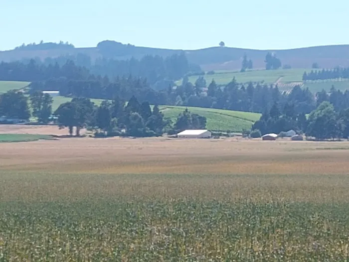 Willamette Wine Country RV Park Picture 7