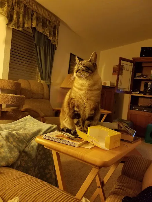 Pioneer Park Mobile Estates Picture 3