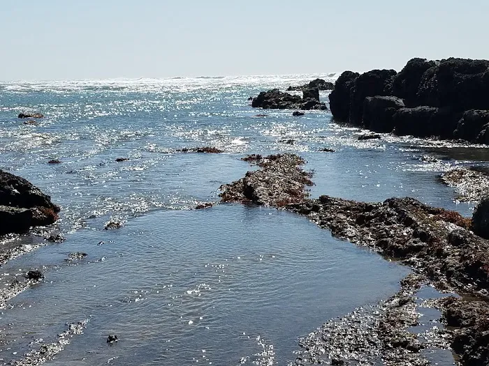 Pioneer Park Mobile Estates Picture 7