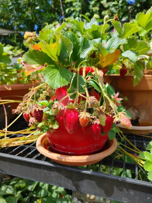 Westview Mobile Estates Picture 1