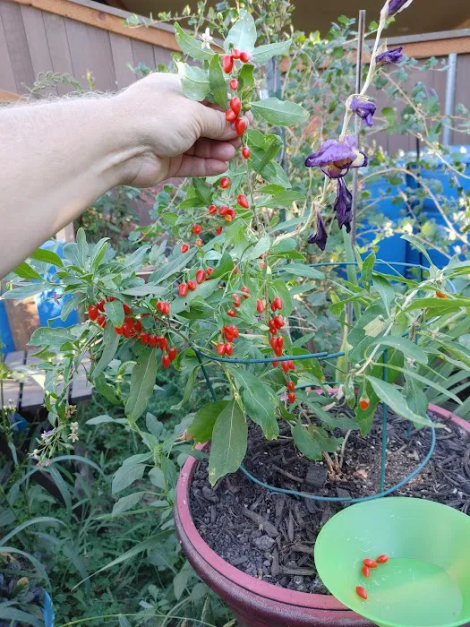 Westview Mobile Estates Picture 7