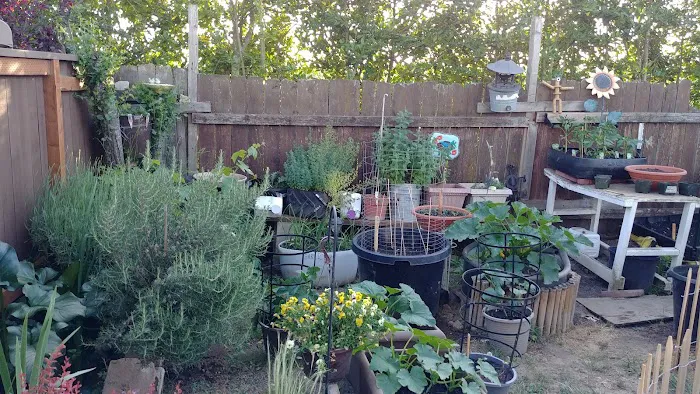 Westview Mobile Estates Picture 9