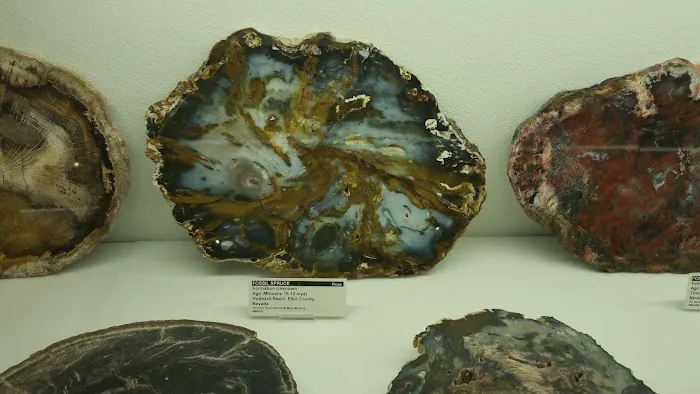 Country Haven Mobile Home Park Picture 7