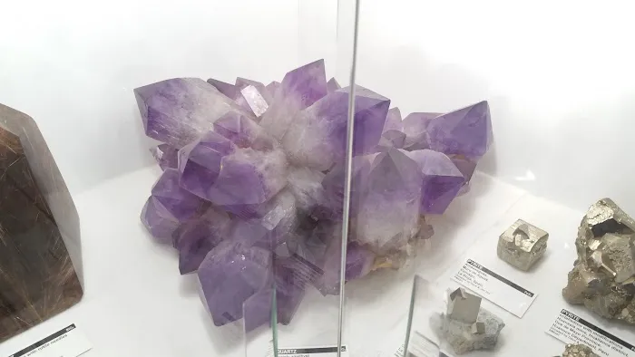 Country Haven Mobile Home Park Picture 4