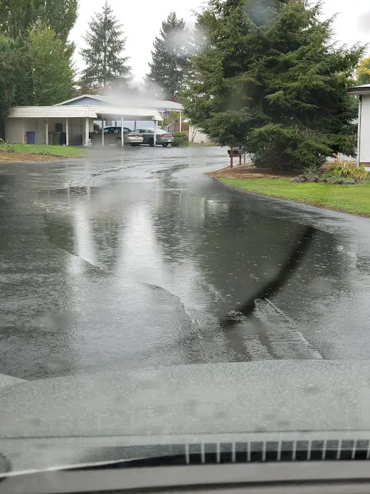 Smoketree MHCLLC Picture 3