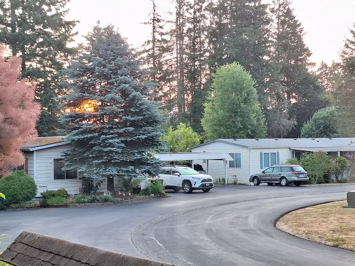 Smoketree MHCLLC Picture 2