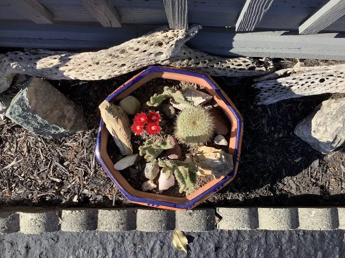 Smoketree MHCLLC Picture 7