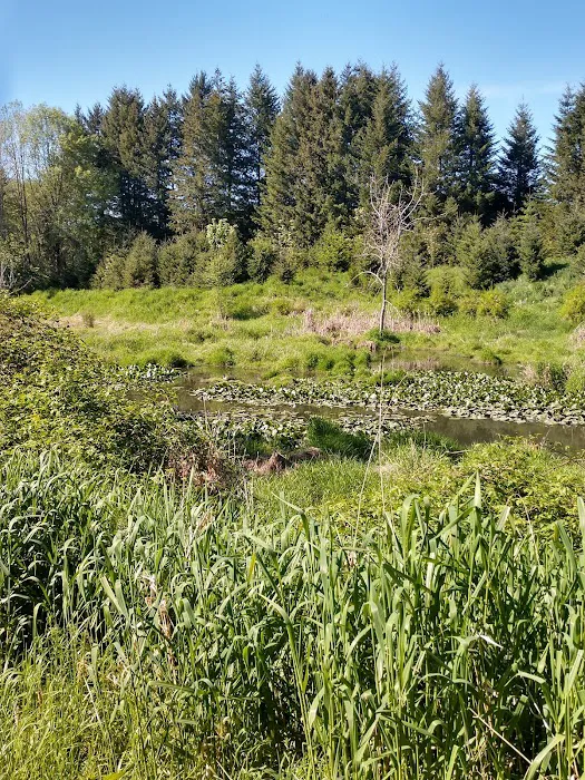 Smoketree MHCLLC Picture 8