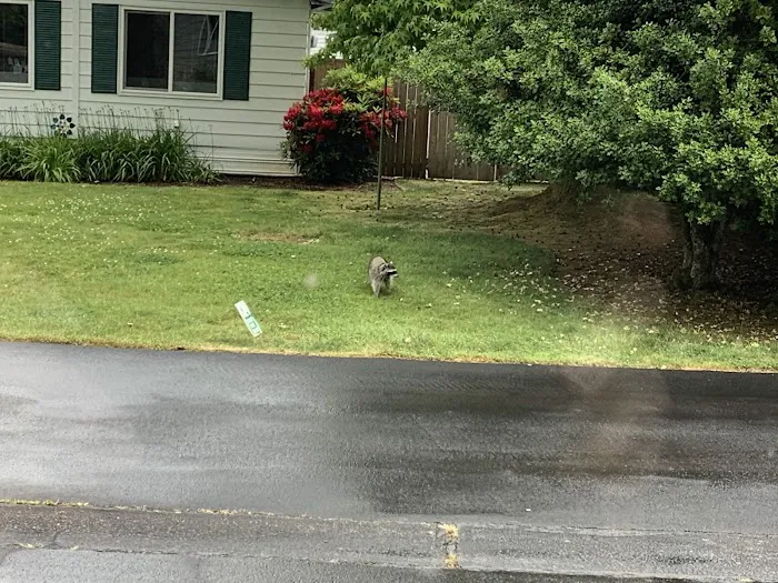 Smoketree MHCLLC Picture 10