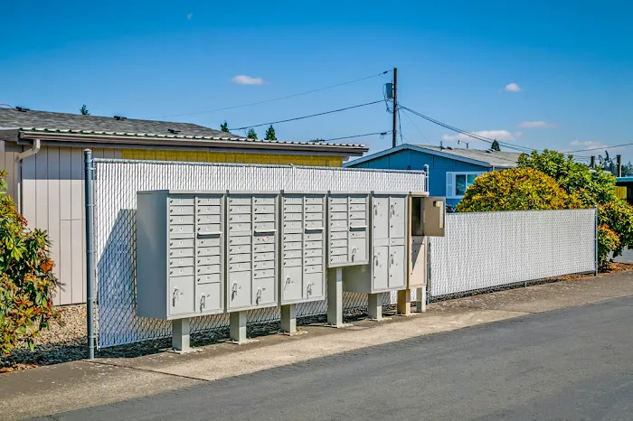 Shady Acres Picture 6