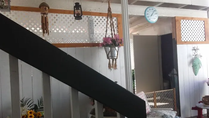 Starlite Mobile Village Picture 4