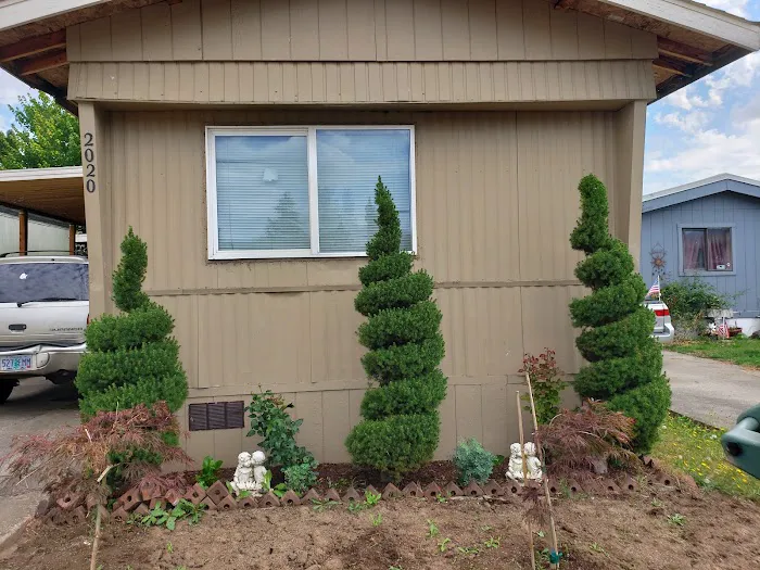 Kennedy Meadows Mobile Home Park Picture 2