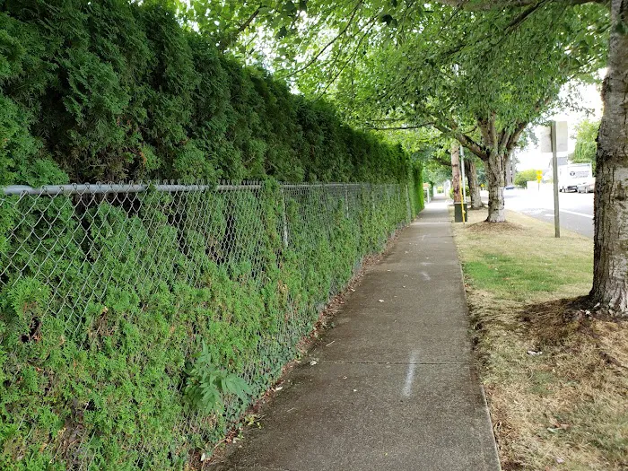 Kennedy Meadows Mobile Home Park Picture 1