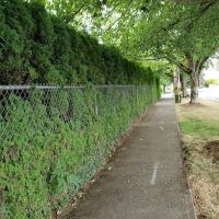 Kennedy Meadows Mobile Home Park ico