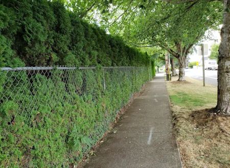 Kennedy Meadows Mobile Home Park