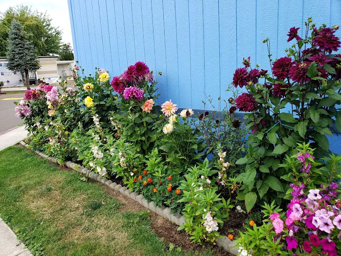 Kennedy Meadows Mobile Home Park Picture 5