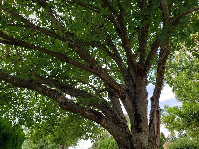 Kennedy Meadows Mobile Home Park Picture 7