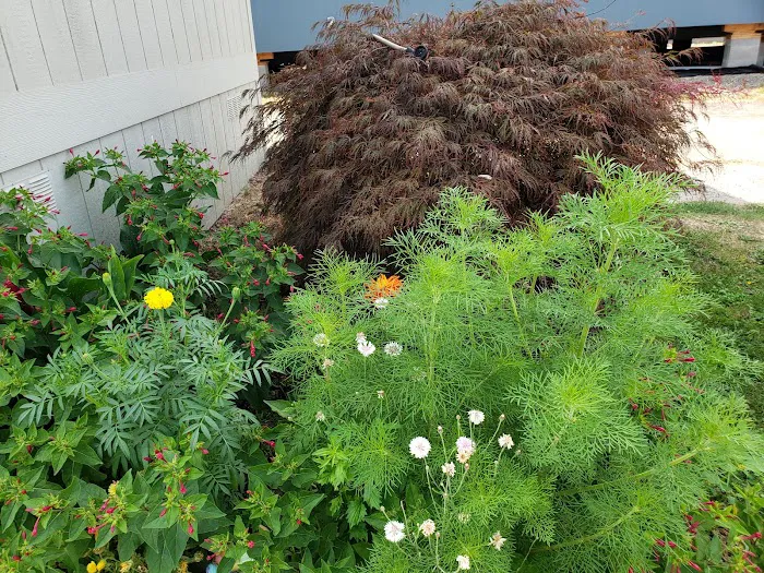 Kennedy Meadows Mobile Home Park Picture 8