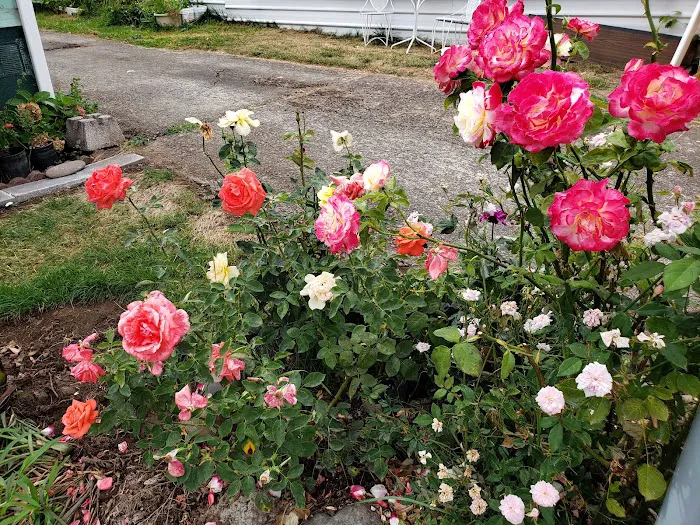 Kennedy Meadows Mobile Home Park Picture 10