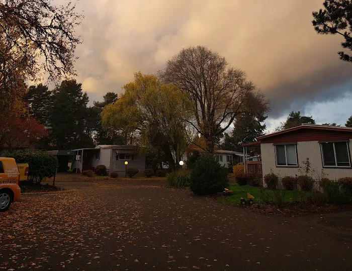 Sunset Village Picture 3