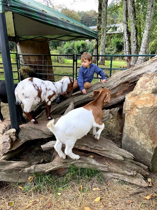 RV Outdoor Adventures & Cabins Picture 3