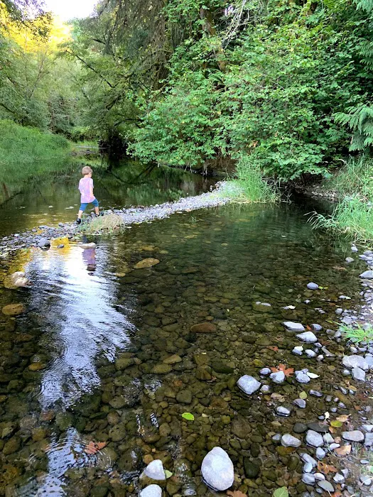 RV Outdoor Adventures & Cabins Picture 9