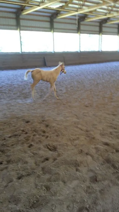 Cedar's RV Park Picture 1